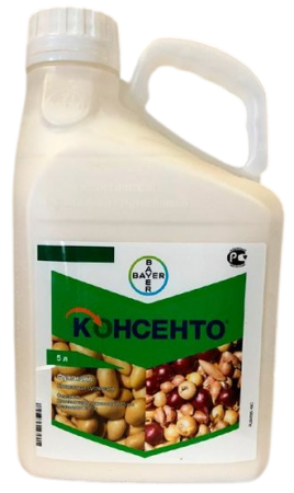 консенто, 5л