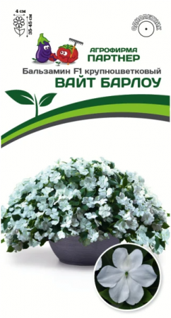 партнер бальзамин f1 крупноцветковый вайт барлоу